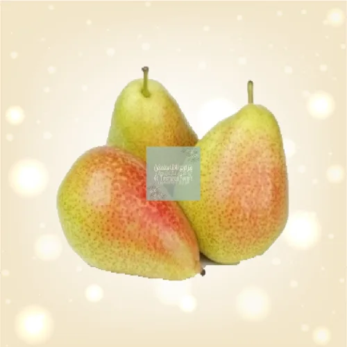 انجاص