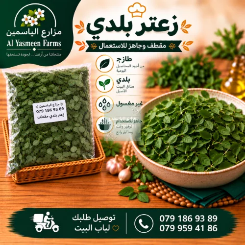 زعتر اخضر بلدي طازة مقطف جاهز وغير مغسول