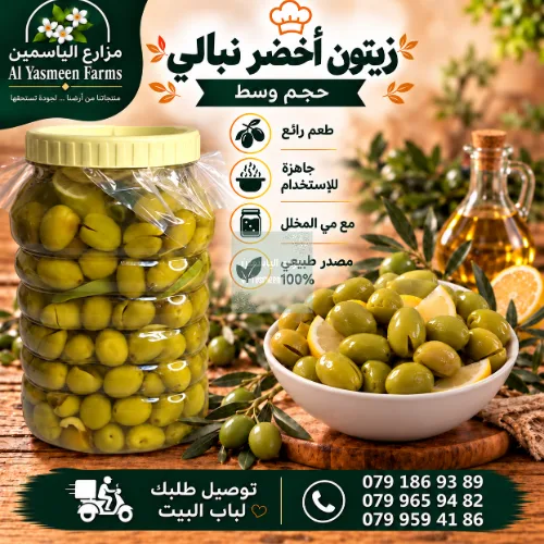 زيتون نيبالي اخضر حجم وسط مع مي المخلل