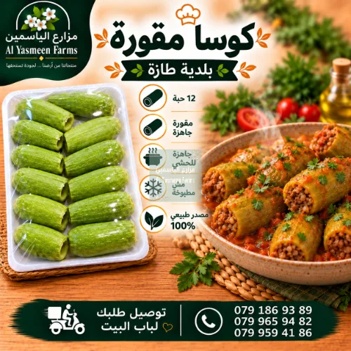 كوسا بلدية طازة مقورة جاهزة للحشي (10-12 حبة حسب الحجم)