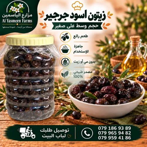 زيتون اسود جرجير حجم وسط على صغير بدون مي أو زيت